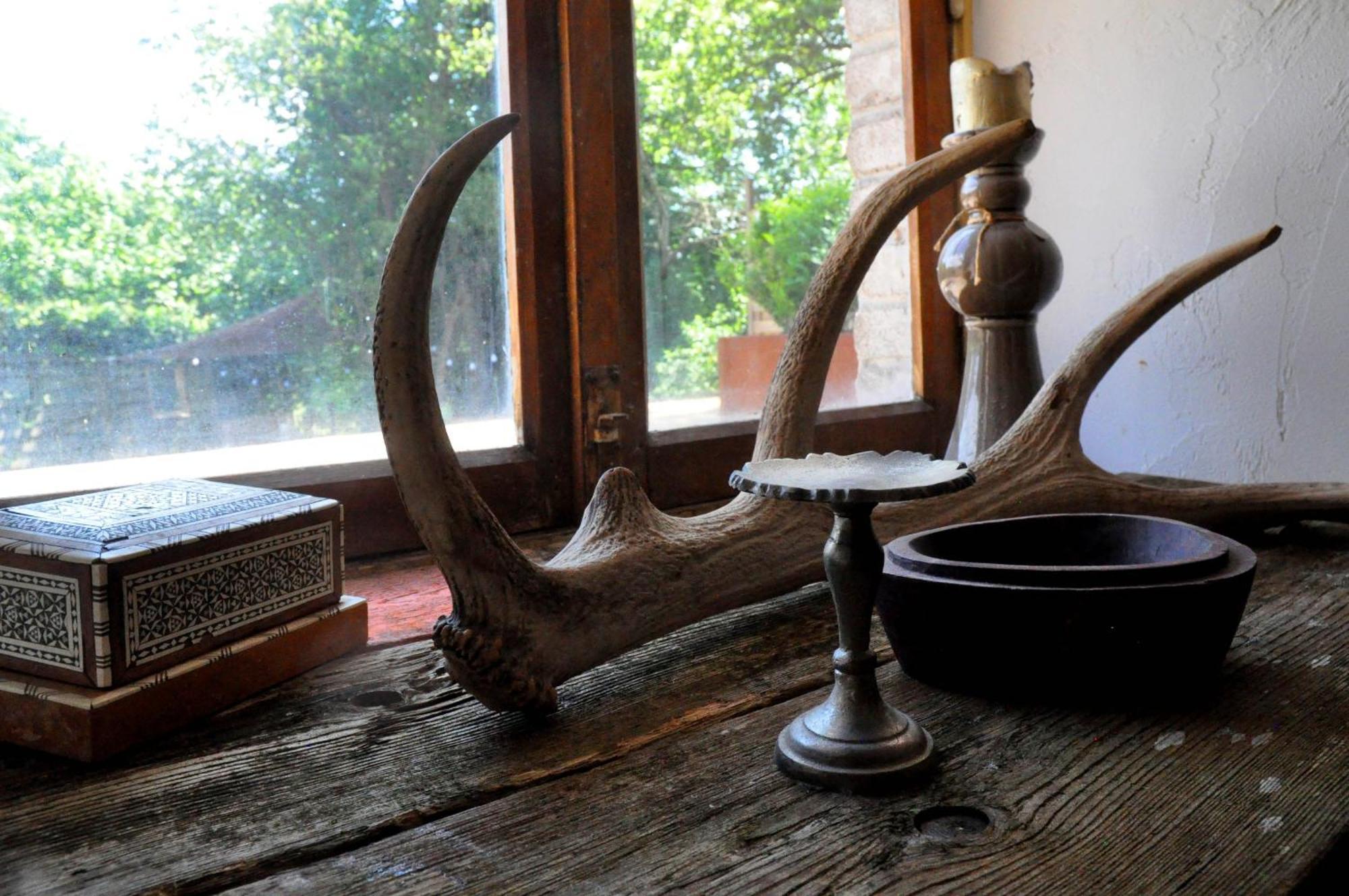 B&B Ferme1883 Lierneux Oda fotoğraf